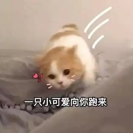  女生听异性说过最最最撩人的话是什么