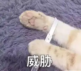  中年少女的十条铁证佛了佛了