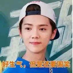  一大泼邪恶表情要收藏的快收藏一大泼