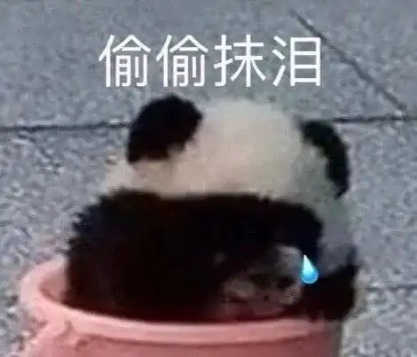 睡觉表情包高清沙雕