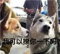  技术帖直男和小仙女都喜欢用什么样的表情包