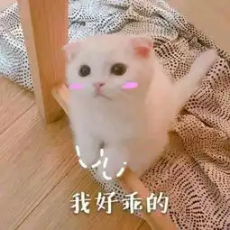  哪些软件可以打字赚钱