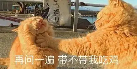  这张猫图,被广大网友们p出了新花样