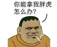  你的意思就是说要和我胖虎对着干咯搜狐搞笑搜狐网