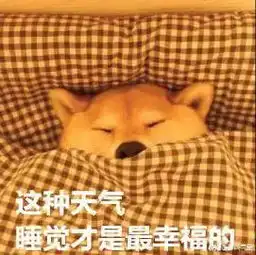  凭祥解冻了但是又进入雨雨雨雨雨,湿冷天气持续到