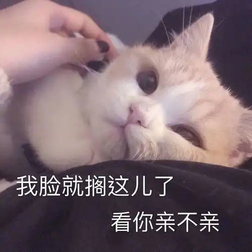  感动