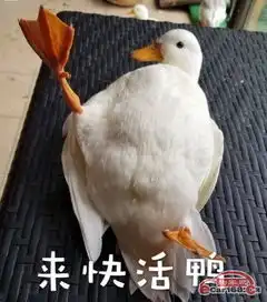  冲鸭二代海马s5一元开启你的三亚浪漫双人游