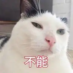  周末的气温怎一个热字了得