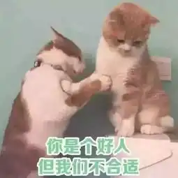  表情sir美丽,是我的武器
