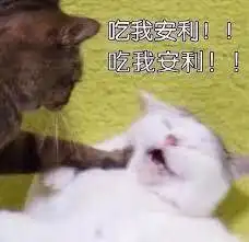  有哪些非常实用但比较少人用的小家电推荐