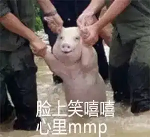  hhh一个蹿红朋友圈的表情大佬