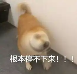  千玺摇头摇疯了傻傻有人爱