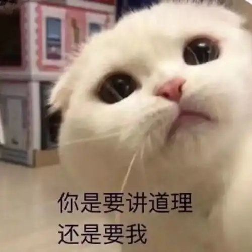  委屈必备一