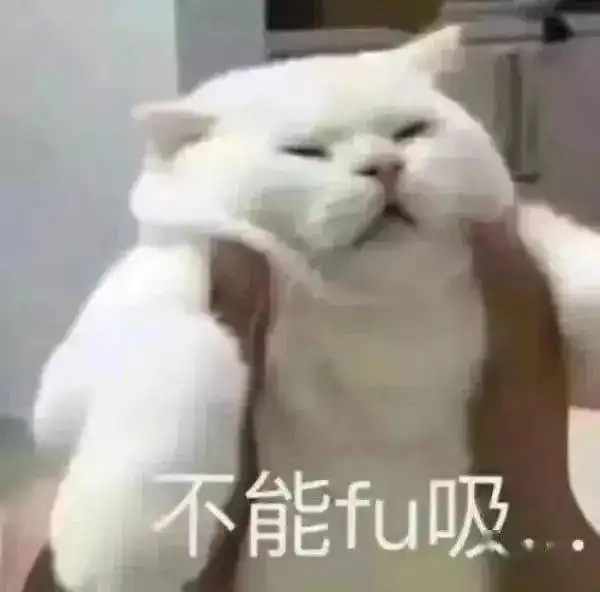 亲爱的我错了表情包高领