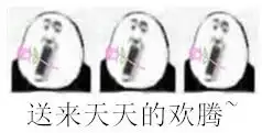  哈哈哈哈一组新年用的傻雕表情包,大家恭喜发财