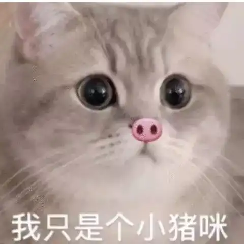  幽默搞笑表情包脱单指南,快来看看