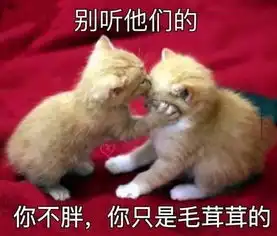  天津相声广播我当时为什么要买蓝色的宝马