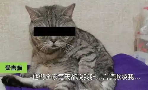  专访受害猫他摸我肚子还拍我裸照