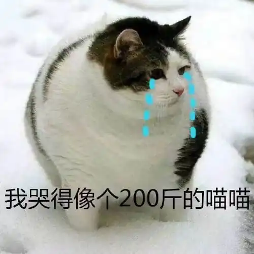  凤阳人,5g手机要来了首批预计8000元起,你会买吗