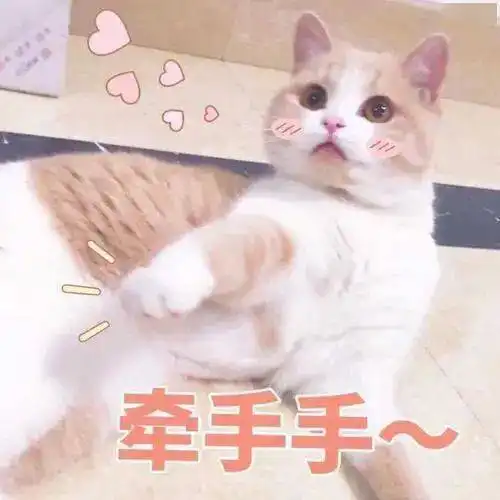  电影大片即视感深圳将再添一打卡胜地
