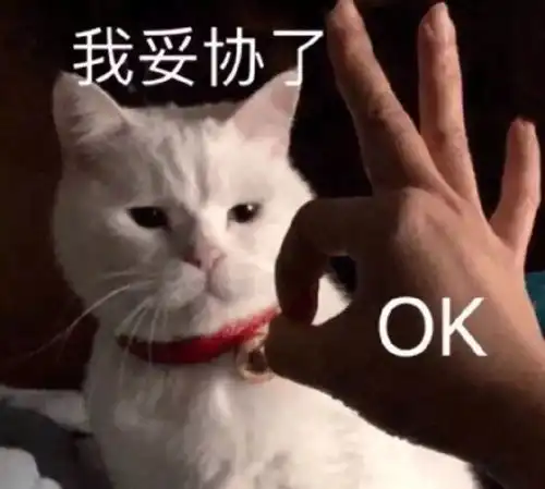  我的收藏夹