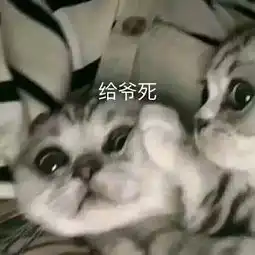  你生平用过最沙雕的表情包是什么