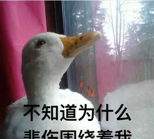  每日一笑你丈夫的表被上帝拿到办公室当电风扇去了