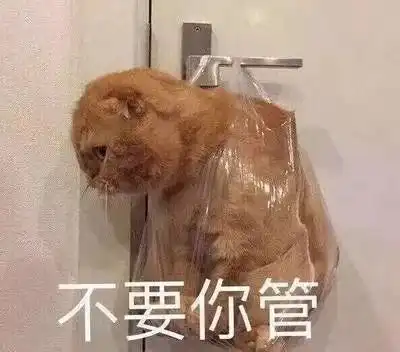  妈妈我做的真是正经工作这条代沟有点深