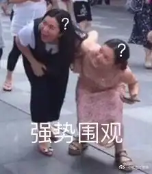 段子公司让我开无犯罪证明,我掏出了张学友演唱会的票根