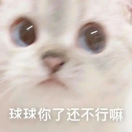  千万不要去重庆旅游,否则网友笑到我立马开车过去看看哈哈哈哈哈哈哈
