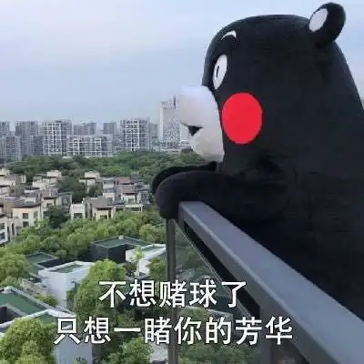  世界杯土味情话出笼了,这球真甜
