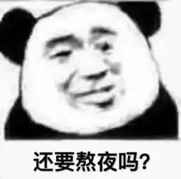  熬夜表情包我不困