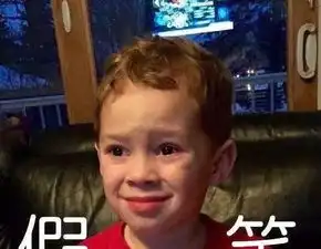  警官,我真是被风吹到美国的,不是想非法入境啊