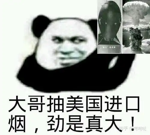  是否存在国内的富人喜欢买湾流系列飞机,而不购买b747a380这种的现象为什么
