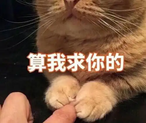  tfboys被质疑塑料兄弟情,演唱会事故不断,一张动图暴露矛盾