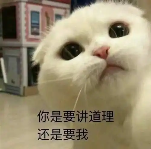  主力做t玩儿呢
