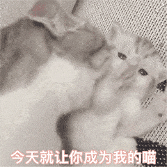  我也不想被钓啊丨第969期喵表情包