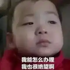  高中生,如果你被不喜欢的大学和专业录取了怎么办