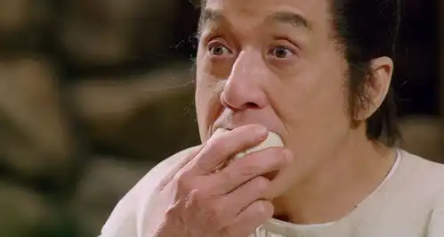 嗨起来表情包小孩成龙