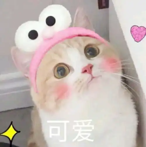  收藏20个志愿填报常见名词解释通俗易懂,现在看还来得及