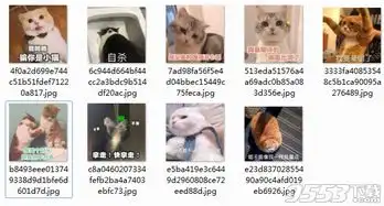  猫咪可爱带字表情图片下载喵星人超萌表情包高清完整版下载9553下载
