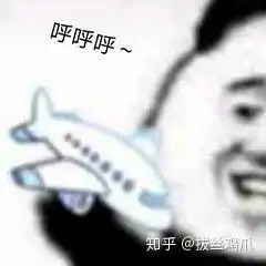  熊猫拿着飞机呼呼呼的表情包是什么意思