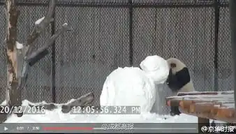  雪球表情包