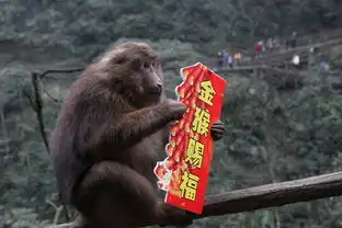 峨眉山的猴子表情包峨眉