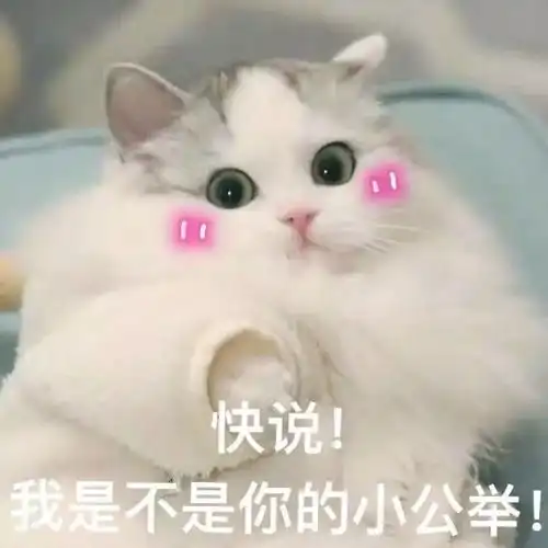  唐嫣罗晋奥地利低调成婚,明星婚礼到底是办给谁看的