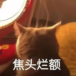  报告,您的成绩单正在路上