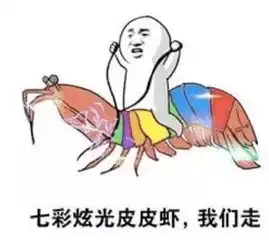  年度表情包大赏小猪佩奇,假笑boy,边缘试探.你最爱