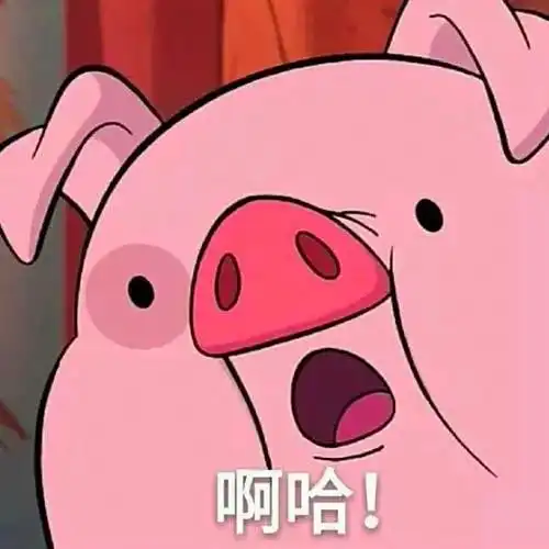 奶油猪kmall表情包冷知