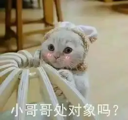  深扒赵四如何睡粉丝外加出轨裸聊吃伟哥...
