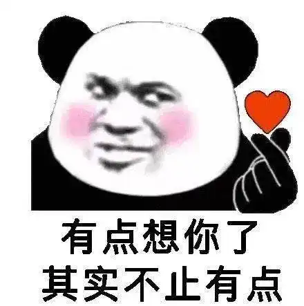  熊猫头表情包i醒醒你根本没有老婆